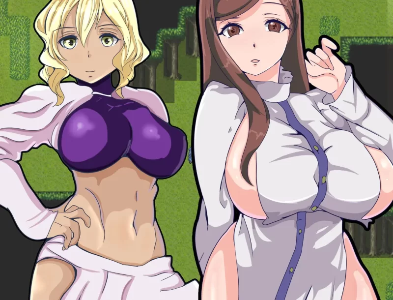 双端[RPG/卖春] 败北的孕姬 寻求种子的王女 ver1.01内嵌汉化 [2+500m][百度盘]