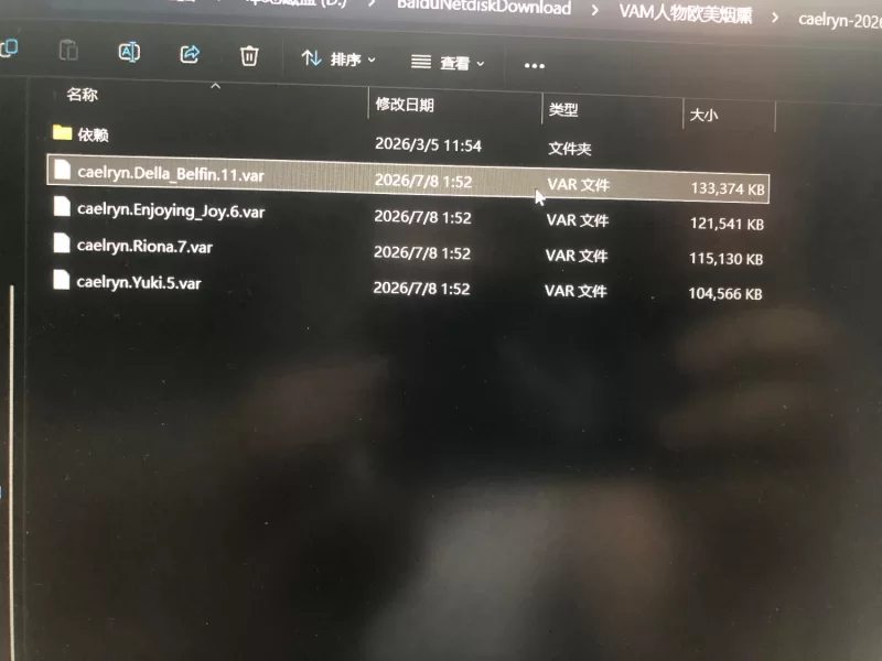 VAM 人物卡欧美哥特风两个 pc 端游 [2+3g][百度盘]