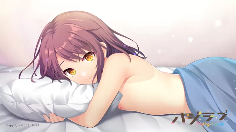 【拔作ADV/官中/步兵/PC】娇羞之恋 -makinglovers- Making*Lovers: Fi… [2+9.39G][百度盘]