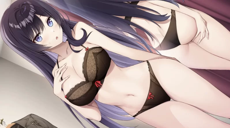 内衣S_1.41官方中文版+DLC【PC+安卓模拟器+制服调教SLG+全CG存… [1+4.5GB][百度盘]