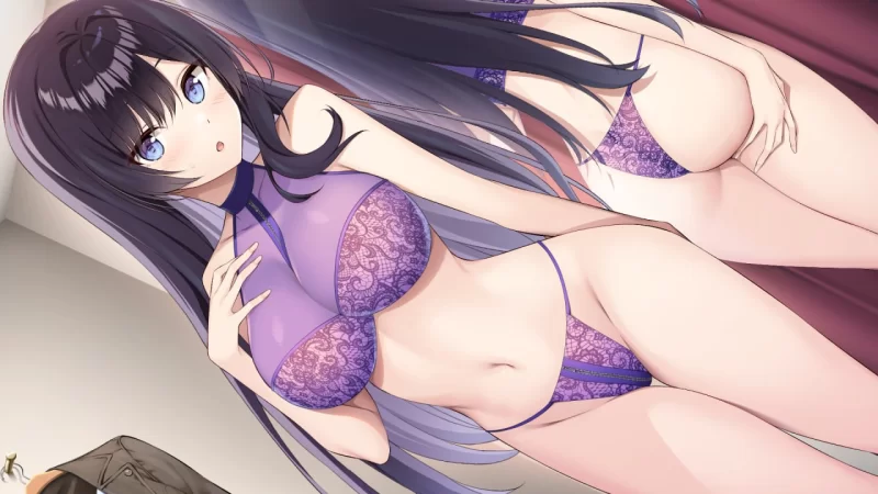[PC][SLG/2D/亚洲]内衣 ランジェリーズ  V1.41 全DLC 官方中文完… [1+7.3G][百度盘]