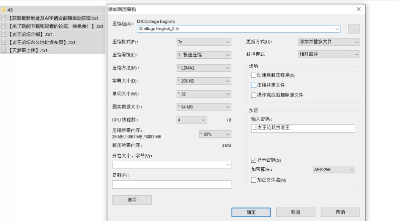【SLG】45号电车V1.0.4.2 [1+1.2G][百度盘]