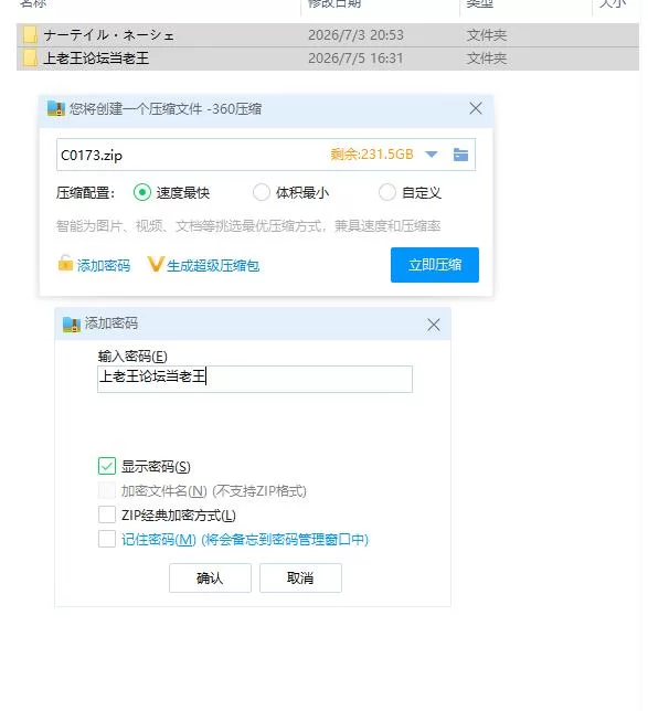 pc纳塔莱·内什 ナーテイル・ネーシェ v1.0.5.8 官中版 [1+371m][百度盘]