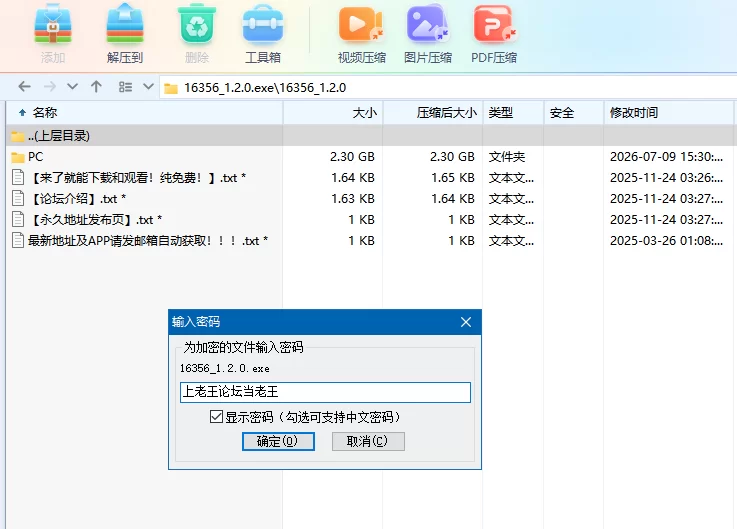 极道无赖EX:女警1.2.0官中版【PC+全CG存档+攻略】Yakuza Outlaw EX [3+2.3G][百度盘]
