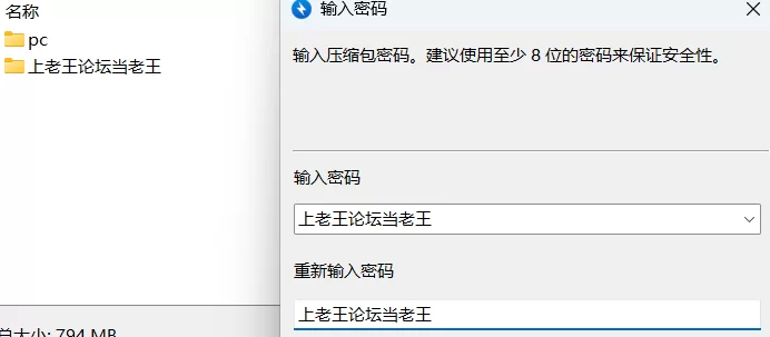 【欧美SLG/双端/3D】双雄之劫Two Heroes and a Burden Ver0.15b汉化版 [1+1.5G][百度盘]