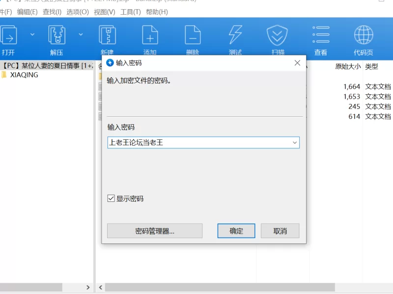 【PC】某位人妻的夏日情事 [1+227MB][百度盘]