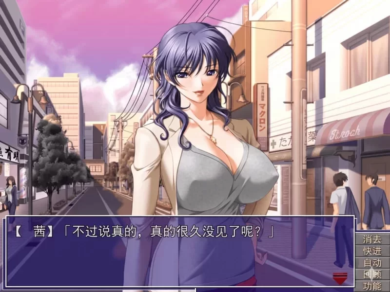 [新汉化PCADV] 双子母性本能 全CG存档 [1.30G] [1+1.3G][百度盘]