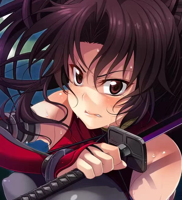 PC 女忍者阿兹莎VS兽人 1-3合集 [1+1.8g][百度盘]