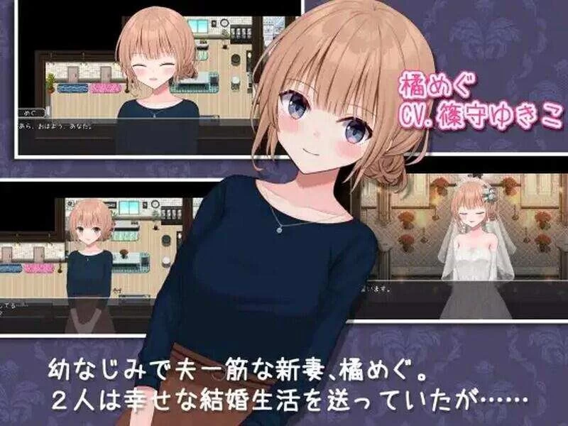 [日式RPG/双端/官中] 新婚妻子小惠的堕落 ~新妻めぐが堕ち… [1+2558M][百度盘]