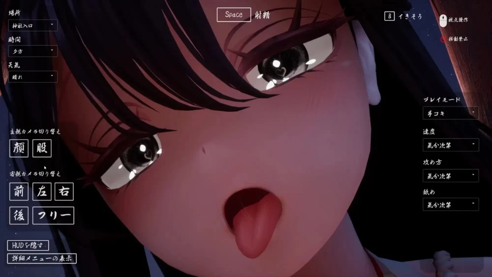 [PC/3D/VR/动态/姐姐]病娇姐姐的神隐 Ver1.02 AI汉化去码步兵版 [1+3.98G][百度盘]
