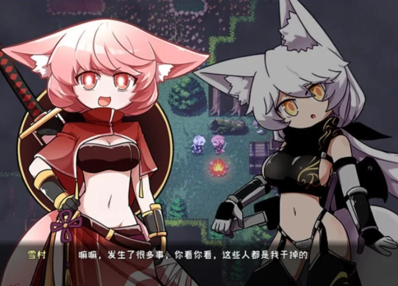 pc影之狼 Wolf of Shadow Ver0.8.0.7 Beta 官中版 [1+378m][百度盘]