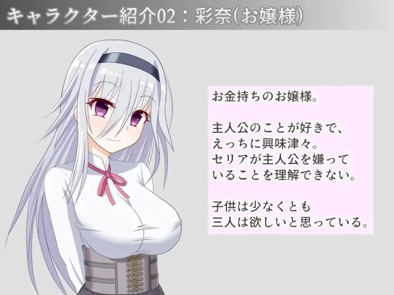 宅邸女仆妊娠计划～ v1.0 内嵌AI汉化版【PC+安卓/430M】 [2+430M][百度盘]