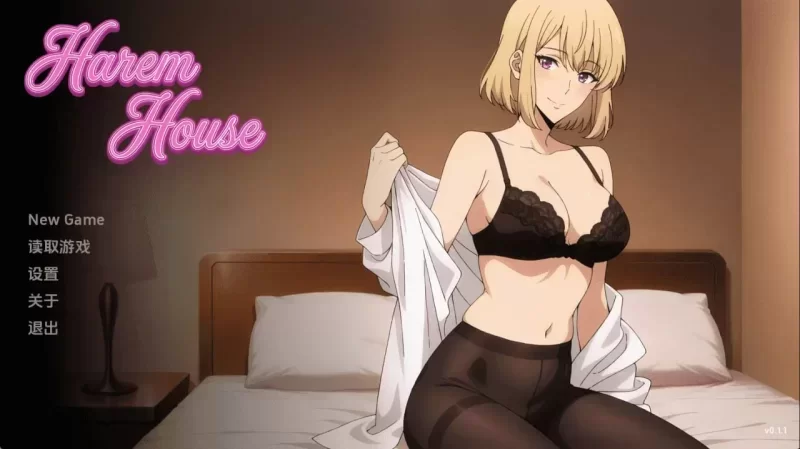 【PC+安卓/日系/沙盒/精品/同人/动态】后宫之家 Harem House v0.1.2 [1+823.48mb][百度盘]