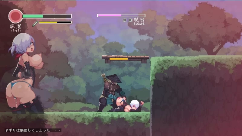 【PC】更新[爆款ACT/像素/动态] 复仇的夜雾v1.0.2 官方中文 [1+442M][百度盘]