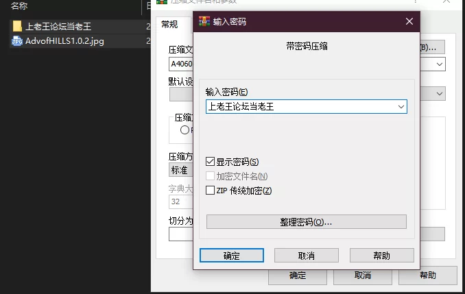PC–希尔丝大冒险 The Adventures of HILLS v1.0.2 [1+1.75G][百度盘]