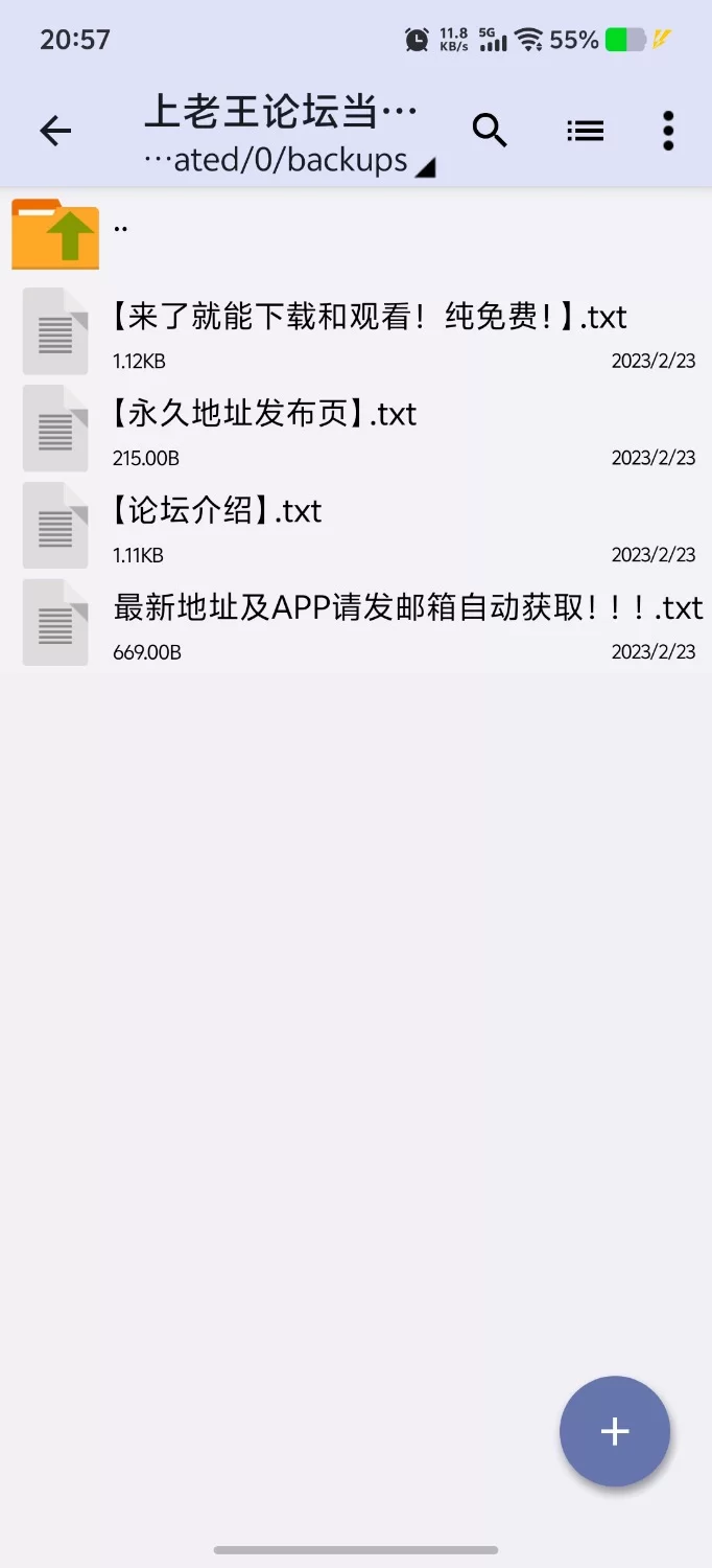 【PC+安卓（分开装）沙盒/后宫/动态/日系/精品】最后一年 v0.5.5 官中 [1+2.17GB][百度盘]