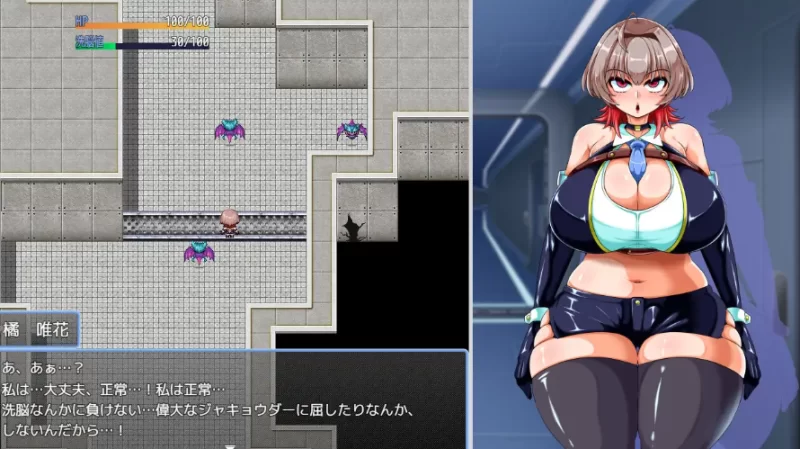 PC/ヒロインズミッション 美少女スパイが悪の組織に潜入… [1+527m][百度盘]