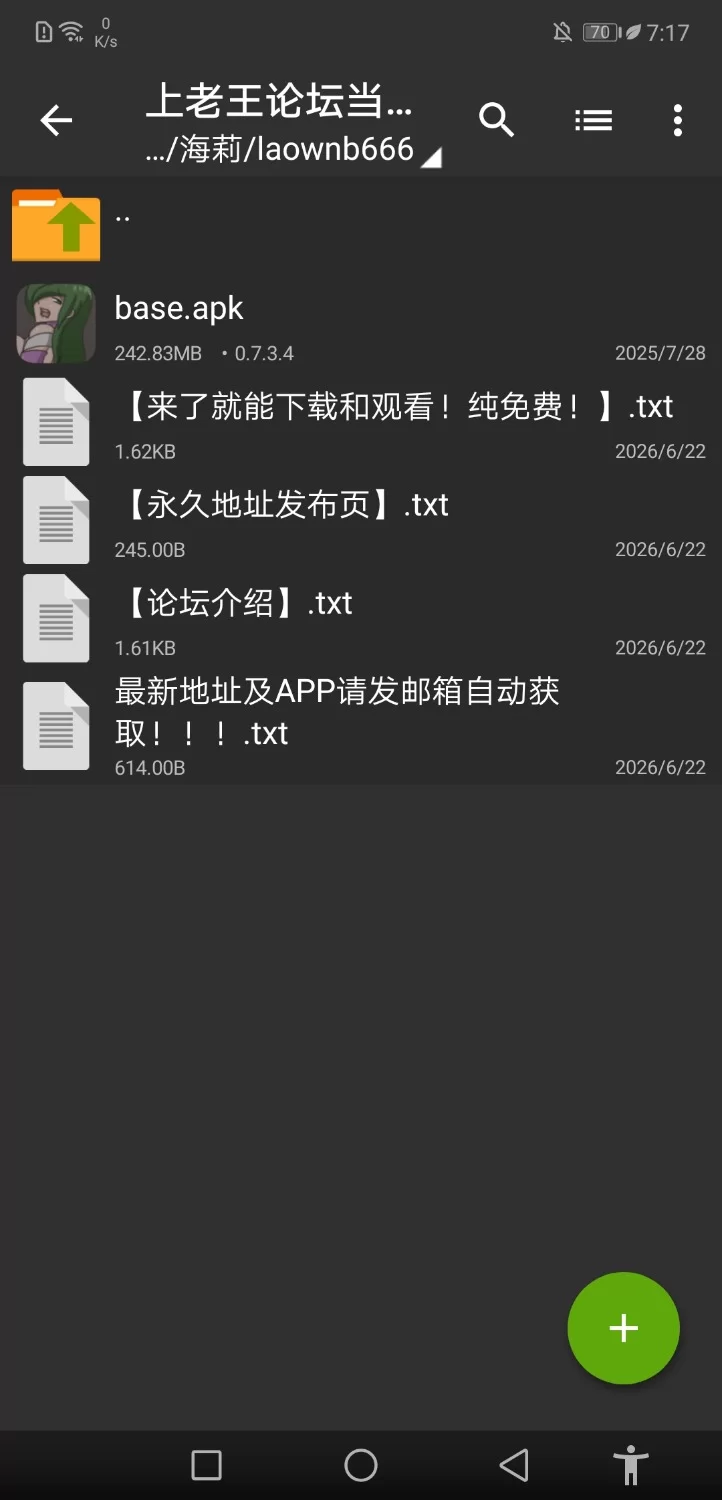 [安卓无pc/act/2d/生肉/欧美]海莉的宝藏冒险0.7.3.4版本 [1+200多mb][百度盘]
