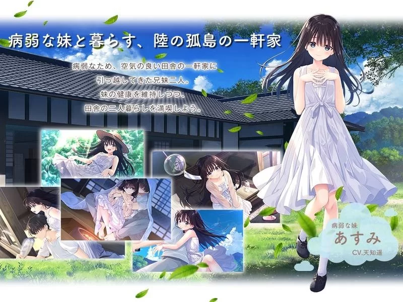 痴情哥哥与病弱妹妹的乡间生活 付DLC1~5 中文步兵版 pc [4+3.7g][百度盘]