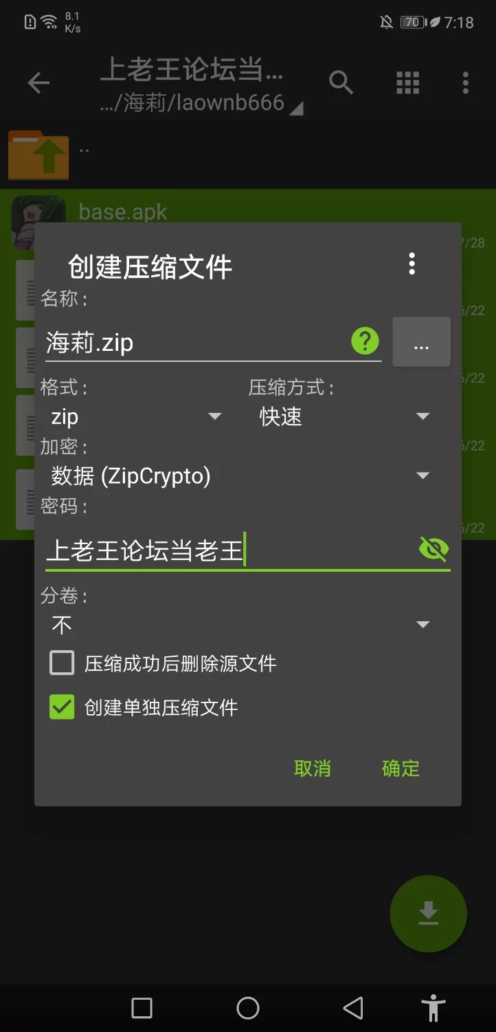 [安卓无pc/act/2d/生肉/欧美]海莉的宝藏冒险0.7.3.4版本 [1+200多mb][百度盘]