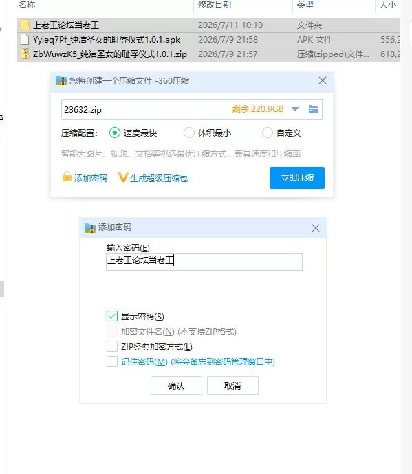 纯洁圣女的耻辱仪式1.0.1【PC+安卓 [1+1.12g][百度盘]