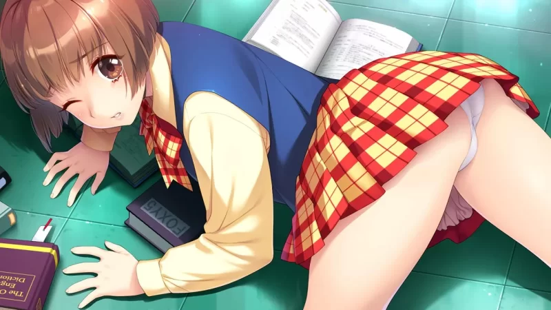 [PC]同級生2 リメイク[AI汉化】 [1+6.84G][百度盘]