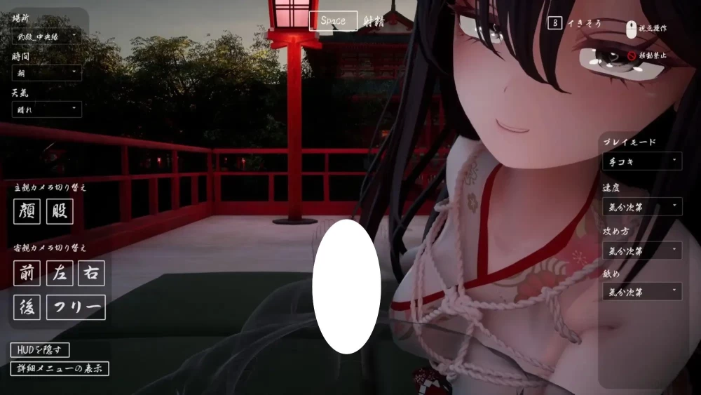 PC[3D/VR/动态/姐姐]病娇姐姐的神隐 1.02 AI汉化去码步兵版 [1+3.99GB][百度盘]