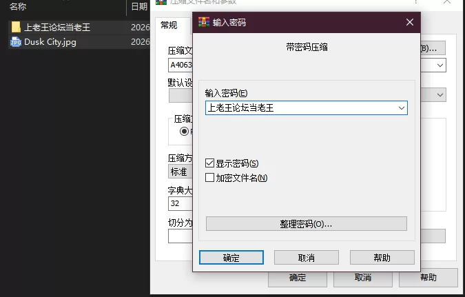 PC–Dusk City – 沉静的灯火 Dusk City – Beacon of Tranquility [1+2.17G][百度盘]