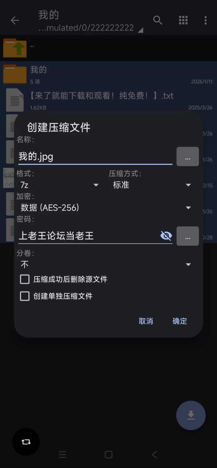 【国风RPG/中文】少女修仙传 V0.2.0.1 PC+Joi官方中文版  [1+500mb][百度盘]
