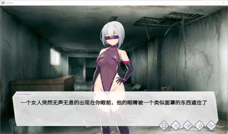 【PC】圣核战姫 DX ~ Operation Darkside DX v2.6+官中+无码 [1P+2.4G][百度盘]