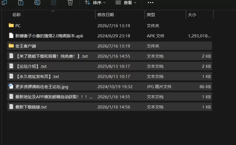 [日式RPG/双端/官中] 新婚妻子小惠的堕落 ~新妻めぐが堕ち… [1+2558M][百度盘]