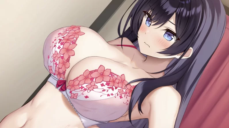 内衣S_1.41官方中文版+DLC【PC+安卓模拟器+制服调教SLG+全CG存… [1+4.5GB][百度盘]