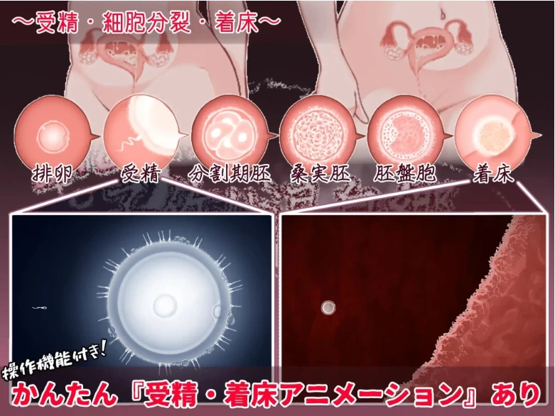 【PC+安卓/RPG/AI汉化/孕肚】欢迎来到！孕育温泉乡 v1.10 存档 [2+1G][百度盘]