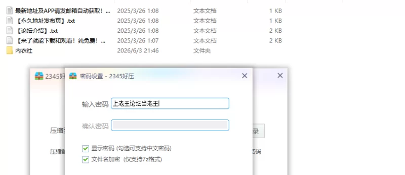 【PC日系ADV/官中/动作】内衣社 [1+3.7G][百度盘]