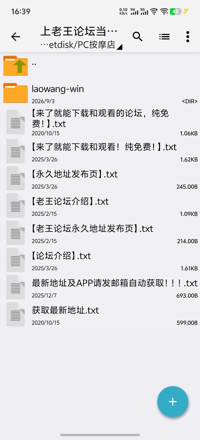 [安卓直装/PC/官中/动态/NTL] 极道无赖:横滨按摩店篇+DLC ver_1.9.11 [2+2g][百度盘]