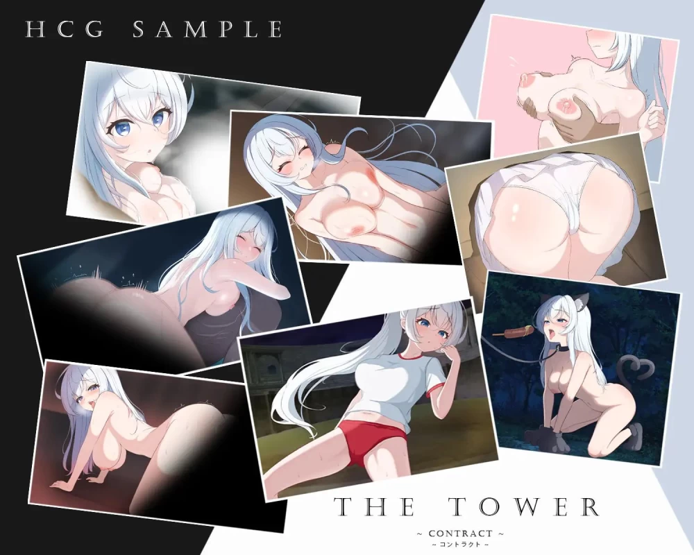 [PC/触摸SLG/官中/日常]高塔～契约～ THE TOWER～コントラクト～ [2+2.5G][百度盘]