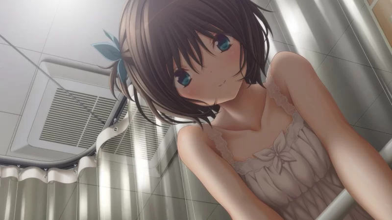 【日系ADV/官中/步兵/PC】几度相逢若初见 NICE TO MEET YOU, AGAIN… [1+4.07G][百度盘]