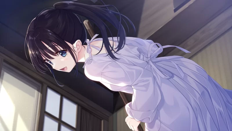 【日系精品RPG/官中/步兵/骨科/妹妹/PC】痴情哥哥与病弱妹… [1+4.03G][百度盘]