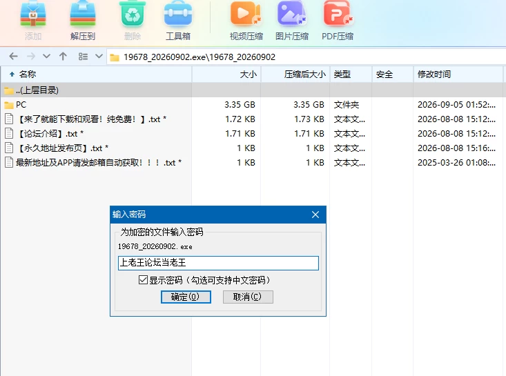 【自购】网络摄像头20260902官中步兵版【PC+3D互动】WebCam: Be… [3+3.35G][多种下载方式]