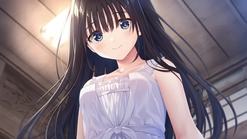 【日系精品RPG/官中/步兵/骨科/妹妹/PC】痴情哥哥与病弱妹… [1+4.03G][百度盘]