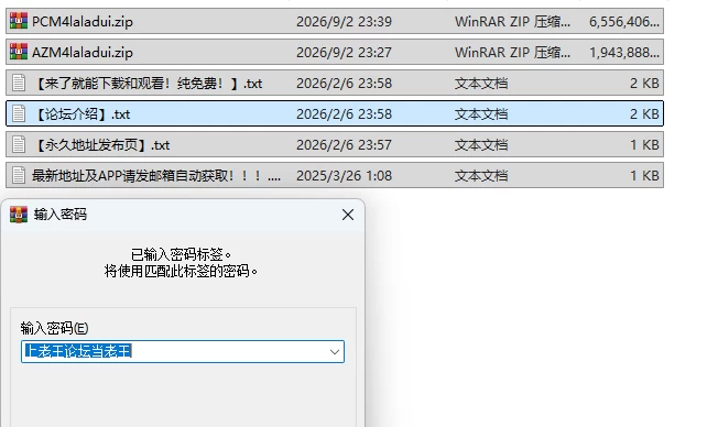 PC＋安卓[欧美SLG/动态]艾特利亚传说：时序之神  v0.1 AI汉化 [1+4.67G][百度盘]