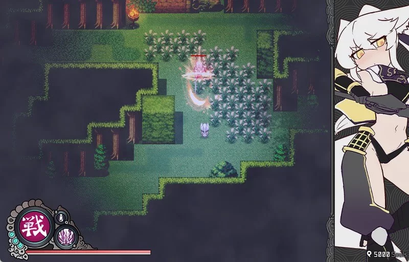 [ARPG官中PC]孤影之狼 Wolf of Shadow隻影の狼 v0.8.0.7 Beta [1+400M][百度盘]