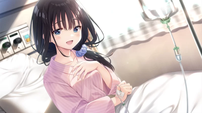 【日系精品RPG/官中/步兵/骨科/妹妹/PC】痴情哥哥与病弱妹… [1+4.03G][百度盘]