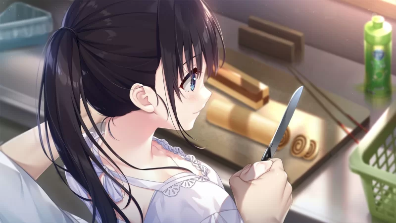 【日系精品RPG/官中/步兵/骨科/妹妹/PC】痴情哥哥与病弱妹… [1+4.03G][百度盘]