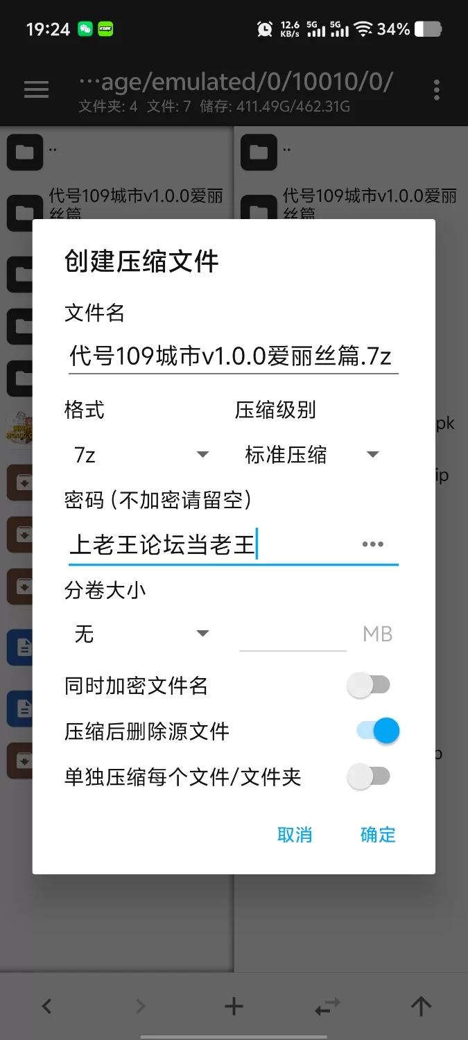【pc/ADV类型/汉化】代号109城市v1.0.0爱丽丝篇+双子篇DL [1+372M][百度盘]