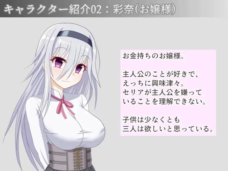 [SLG/AI汉化] お屋敷メイド妊娠計画 [1+279M][百度盘]