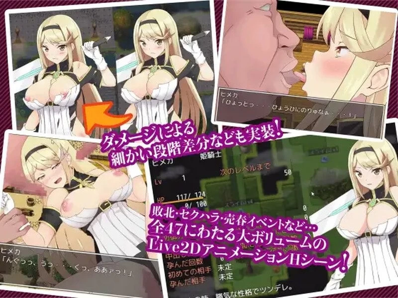 【pc+安卓】姬骑士炎花&姬香 ～淫魔之受孕～  v1.03 AI汉化 [1+3.5g][百度盘]