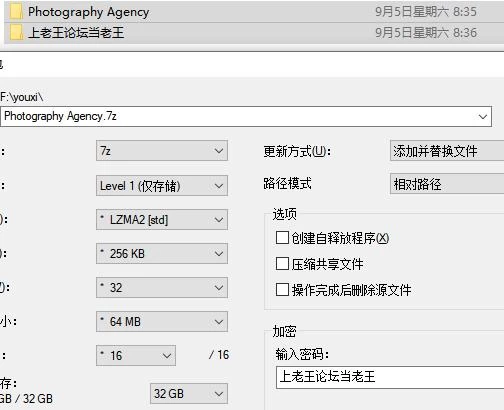 3D/动态/时停/巨乳/姐姐 摄影代行/Photography Agency 官中步兵版 [1+2.66G][百度盘]