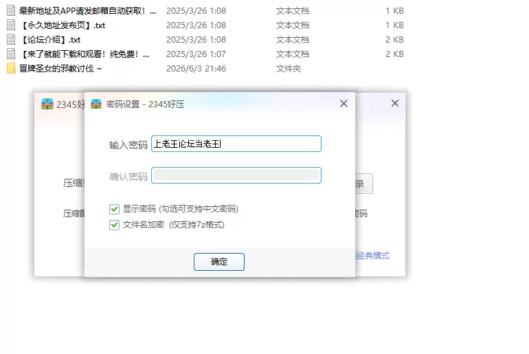 【PC日系ACT/官中/动作】冒牌圣女的邪教讨伐 ~ [1+0.84G][百度盘]