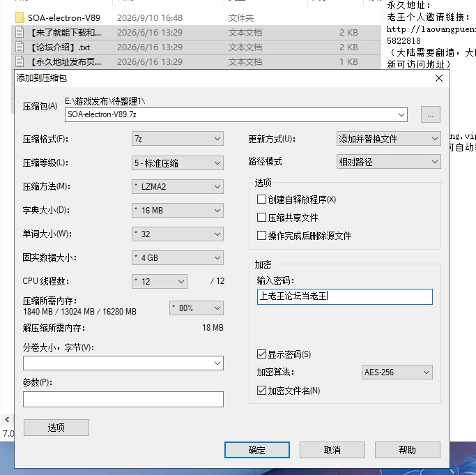 【神作/SLG/官中/动态/PC】亚洲之子 SOA-electron v89 全Mod整合版 [2+75G][多种下载方式]